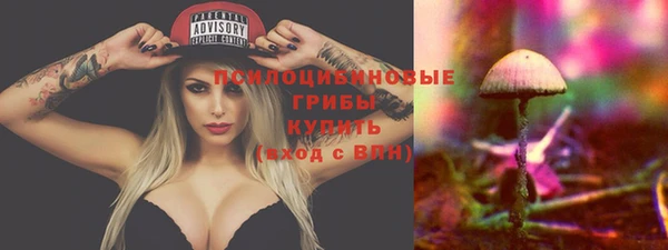 стафф Абинск