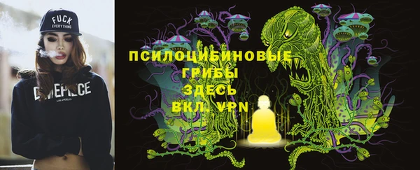спиды Алексин